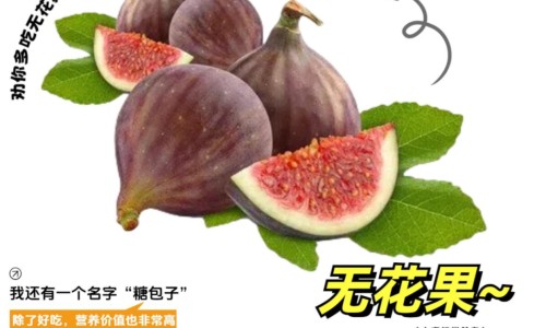 孕妇咳嗽喝姜汤对胎儿有影响吗-孕妇咳嗽喝姜汤对胎儿有影响吗,中国孕妇咳嗽 姜汤网站